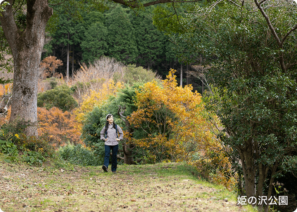 姫の沢公園