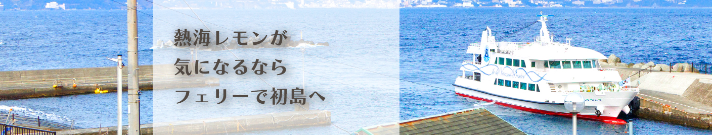 熱海レモン